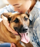 Including Pets in Domestic Violence Protection Orders